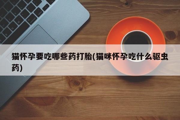 米非米索购买联系方式猫怀孕要吃哪些药打胎(猫咪怀孕吃什么驱虫药)