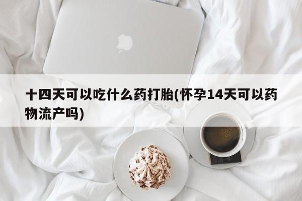 米非米索购买联系方式十四天可以吃什么药打胎(怀孕14天可以药物流产吗)